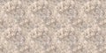 Beige Old Grunge Effect. Pale Paint Dust Royalty Free Stock Photo