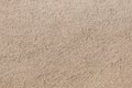 Beige painted stucco wall. Background texture Royalty Free Stock Photo