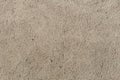 Beige painted stucco wall. Background texture