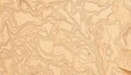 Beige paper texture close up, detailed surface, neutral background, subtle pattern, Stock Photo, Generative AI Royalty Free Stock Photo