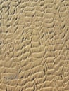 Beige pattern sand texture