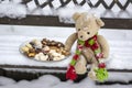 Beige plushy teddy bear with red green striped knitted scarf sitting with Christmas cookies on the bench covered with white snow Royalty Free Stock Photo