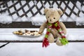 Beige plushy teddy bear with red green striped knitted scarf sitting with Christmas cookies on the bench covered with white snow Royalty Free Stock Photo