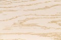 Beige polish paint. Ð¡lose-up Oak Texture with natural wood grain patterns. Smooth wooden surface for the design of facades and Royalty Free Stock Photo