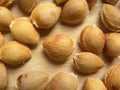 Beige raw Apricot seed Royalty Free Stock Photo