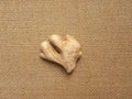Beige raw dried Ginger Royalty Free Stock Photo
