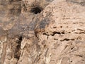 Rough texture of beige rose sandstone rock