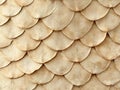 Beige Scale-Patterned Surface Texture Royalty Free Stock Photo