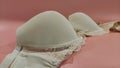 Beige seamless smooth luxury elegant women push up bra.