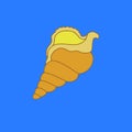 The beige seashell on the blue background