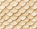 Beige Semi-Circular Scale Pattern Texture Royalty Free Stock Photo
