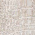 Beige skin of a reptile, crocodile. Texture genuine leather close-up, cognac tones, fashion trend