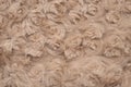 Beige soft fabric with twisted roses