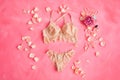 Beige soft lace woman`s lingerie set of bra and panties on pink background