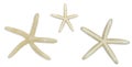Beige starfishes on white isolated background. Cut out design elements. Vacation concept, sea Royalty Free Stock Photo