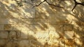 Beige Stone Wall Texture with Branch Shadows Royalty Free Stock Photo
