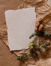 Beige tender tea-rose, brown natural craft and white empty paper sheet flat layout top view. Free blank copy space for text. Royalty Free Stock Photo