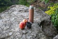 Beige thermos bottle, cup of tea or coffee, and red apple on rock over the river. Beautiful autumn landscape Royalty Free Stock Photo