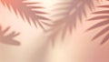 Subtle 3D Palm Shadow Artwork Royalty Free Stock Photo
