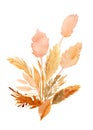 Beige tropical leaves, a bouquet of dry plants on a white background, watercolor illustration in boho style