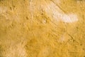 Beige wall with mold - background. Grunge texture Royalty Free Stock Photo