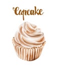 Beige walnut cupcakes with whipped cream