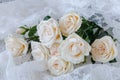 Beige wedding background with roses Royalty Free Stock Photo