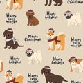 Beige winter Christmas seamless pattern of dogs in winter knitted red white hats and scarfs, lettering, gifts. Labrador retriever Royalty Free Stock Photo