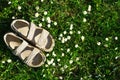 Beige women`s sandals on a background of field daisies. Top view