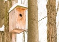 Beige wooden small house for starling a birdhouse on background of two trees and the sky