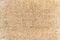 Beige woolen fabric