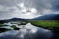 Beihai wetland