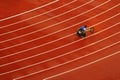 Beijing 2008 Paralympic Games Royalty Free Stock Photo