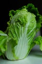 Beijing cabbage close-up Royalty Free Stock Photo