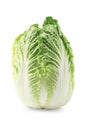 Beijing cabbage Royalty Free Stock Photo