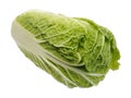 Beijing cabbage, isolated Royalty Free Stock Photo
