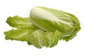 Beijing cabbage, isolated Royalty Free Stock Photo