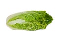 Beijing cabbage Royalty Free Stock Photo
