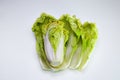 Beijing cabbage on a white background