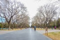 Unacquainted chinese people or touristin Walking in Temple of Heaven park or Tiantan in Chinese Name in beijing city