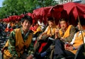 Beijing, China: Hutong Pedicab Drivers