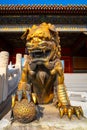 Lion sculptures at Qianqingmen gate - The Gate of Heavenly Purity in the Forbidden City Royalty Free Stock Photo