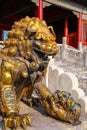 Lion sculptures at Qianqingmen gate - The Gate of Heavenly Purity in the Forbidden City Royalty Free Stock Photo