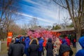 BEIJING, CHINA - 29 JANUARY, 2017: Attending new year celebration festival in temple of earth park, lots of red