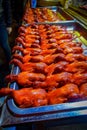 BEIJING, CHINA - 29 JANUARY, 2017: Rows of cooked ducks ready to eat, local chinese food market concept
