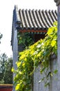 Beijing courtyard house