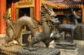 Beijing Forbidden City Palace Dragon Royalty Free Stock Photo