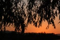 Beijing Haidian park at dusk Royalty Free Stock Photo