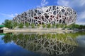 Beijing National Stadium Inverted image