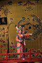 Beijing Opera, on the stage a female warrior dances in a bright traditional suit.